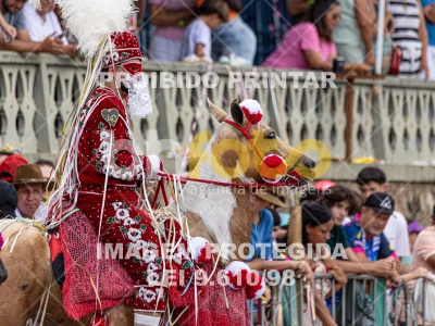 Detalhes da foto #74572