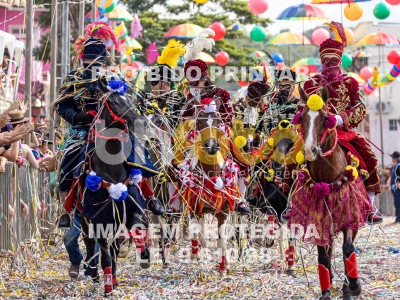 Detalhes da foto #70682