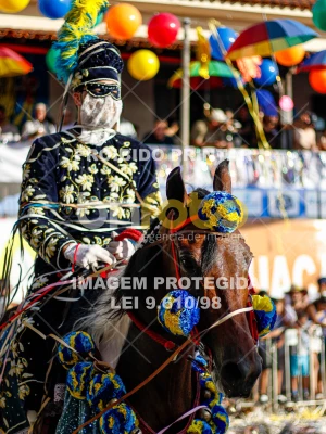 Detalhes da foto #12906