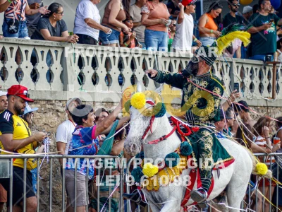 Detalhes da foto #91748