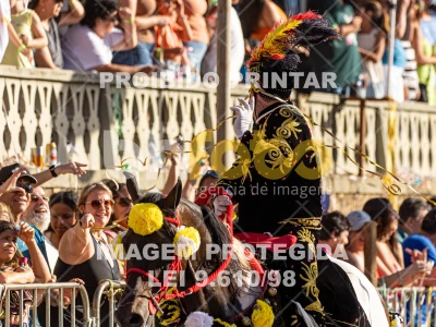 Detalhes da foto #12391