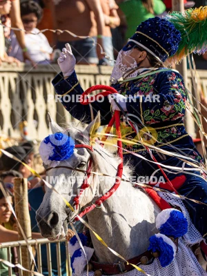 Detalhes da foto #85465