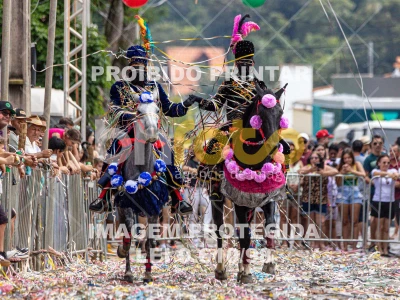 Detalhes da foto #33784
