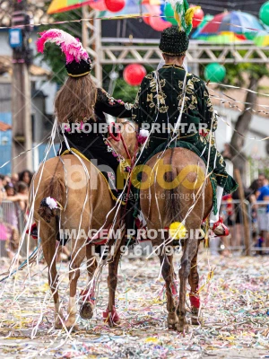 Detalhes da foto #92779