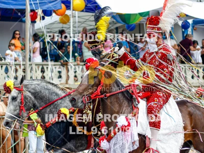 Detalhes da foto #98361