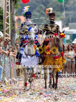 Detalhes da foto #75125