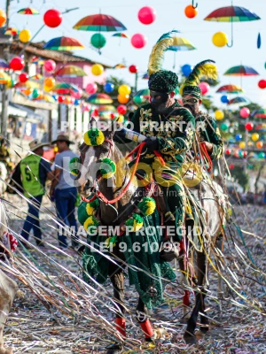 Detalhes da foto #91296