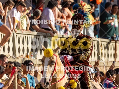 Detalhes da foto #86516