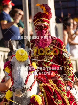 Detalhes da foto #87628