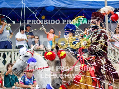 Detalhes da foto #48077