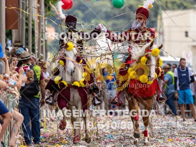 Detalhes da foto #26229