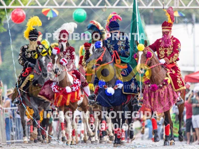 Detalhes da foto #55749