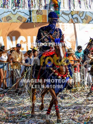 Detalhes da foto #30159