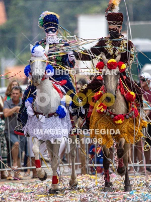 Detalhes da foto #25751