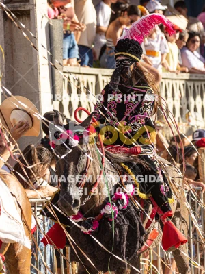 Detalhes da foto #76473