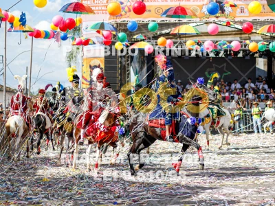 Detalhes da foto #76995