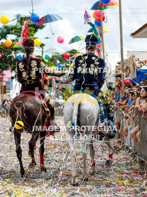 Detalhes da foto #26433