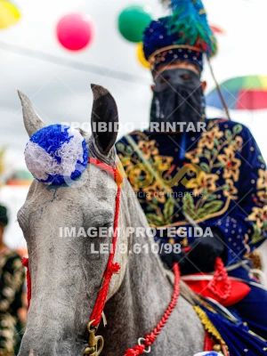 Detalhes da foto #12424