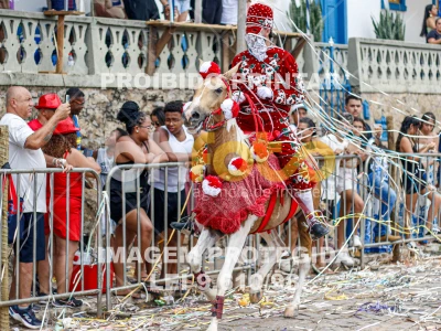 Detalhes da foto #28012