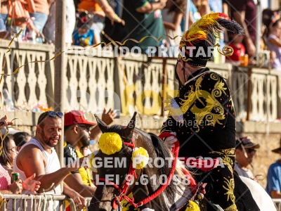 Detalhes da foto #19584