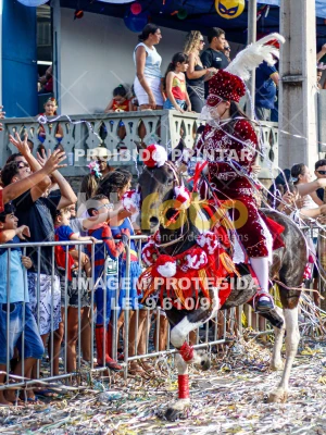 Detalhes da foto #96971