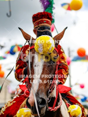 Detalhes da foto #71262