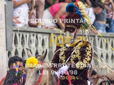 Detalhes da foto #74111