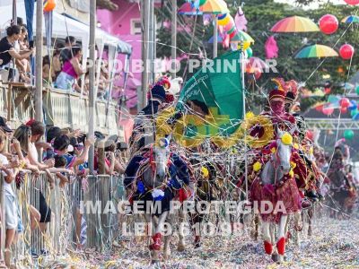 Detalhes da foto #26523