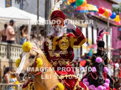 Detalhes da foto #25582