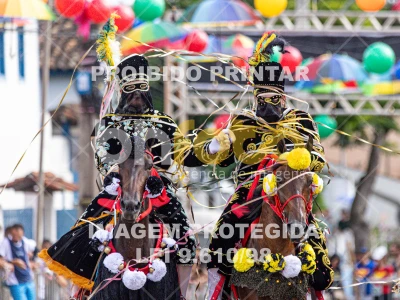 Detalhes da foto #12256