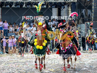 Detalhes da foto #40184