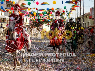 Detalhes da foto #55672