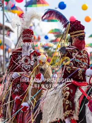 Detalhes da foto #63694