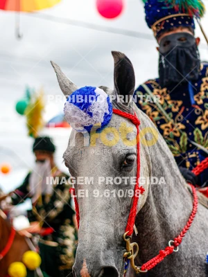 Detalhes da foto #58232