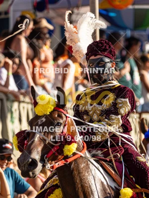 Detalhes da foto #64534