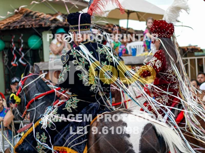 Detalhes da foto #75381