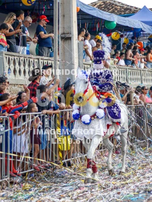 Detalhes da foto #29862