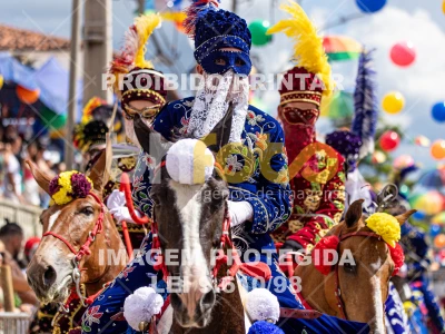 Detalhes da foto #49931