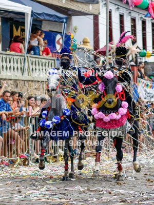 Detalhes da foto #21254