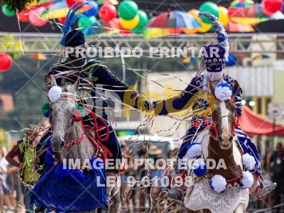 Detalhes da foto #97932