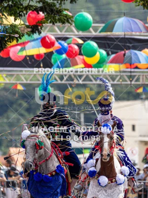 Detalhes da foto #95751