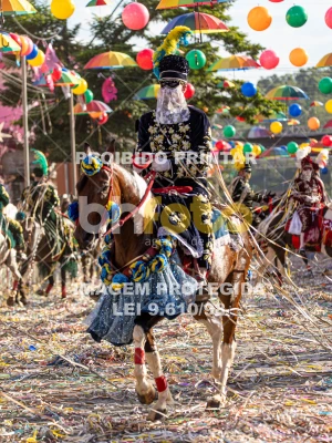 Detalhes da foto #44835