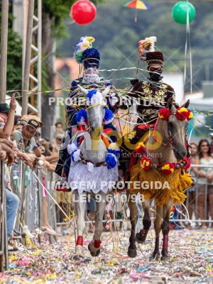 Detalhes da foto #23587