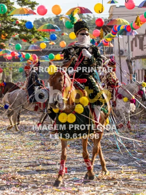 Detalhes da foto #44628