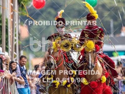 Detalhes da foto #62781