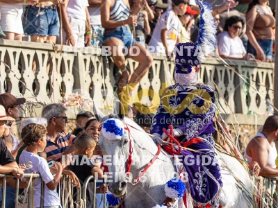 Detalhes da foto #63314