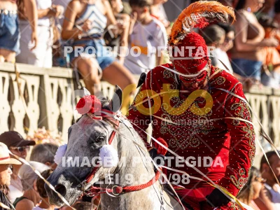 Detalhes da foto #67423