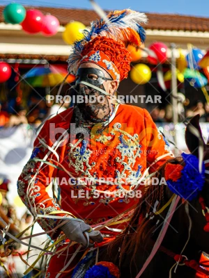 Detalhes da foto #41053