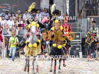 Detalhes da foto #95899