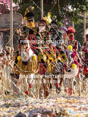 Detalhes da foto #99900